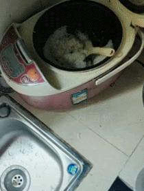 和女朋友去水上乐园,玩水上乐园掉妆