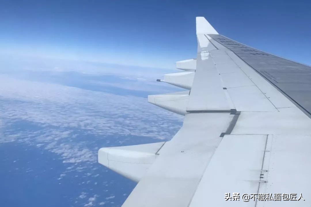 面包里的微小生命，酵母菌和它的朋友们