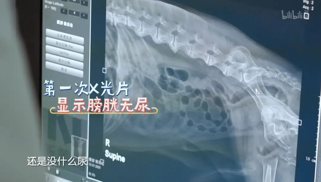 b站高分历史纪录片,2分钟一集的b站纪录片