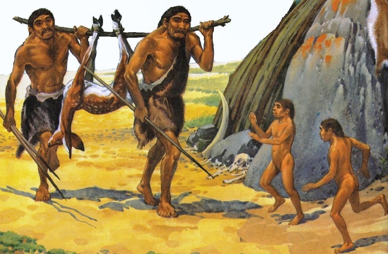 我们为什么不吃食肉动物，专家们说出原因，存在“潜在威胁”？