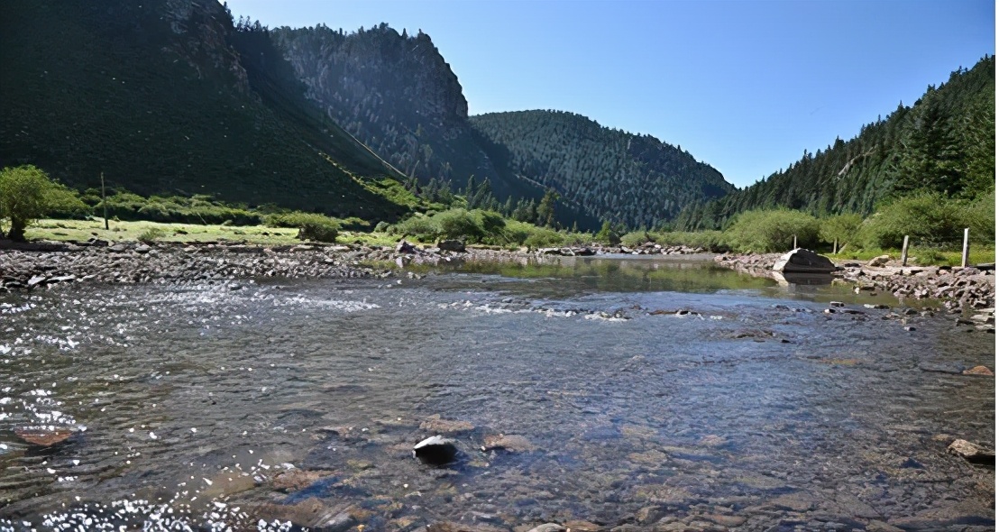 山丹军马场世界第一大军马场,亚洲第一马场山丹军马场直播