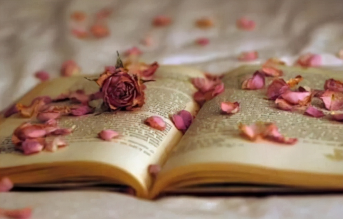 不读书会做什么,现在不好好读书将来会怎么样