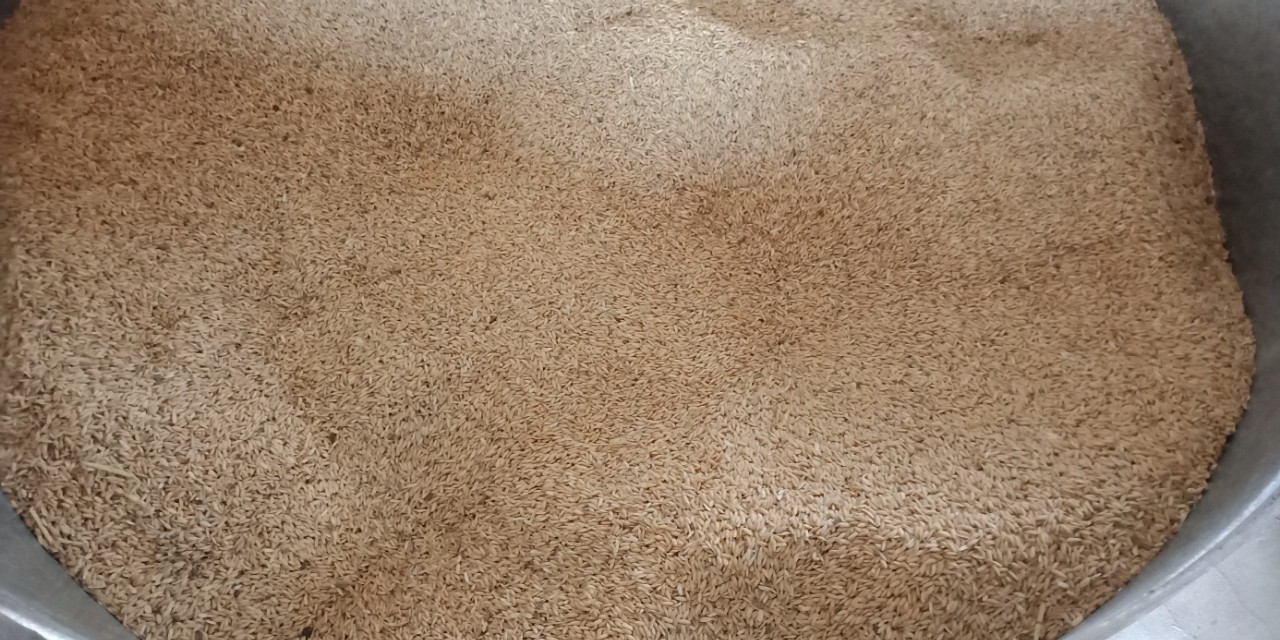 谷仓的稻谷有飞蛾怎么办,谷仓里面有飞蛾怎么办