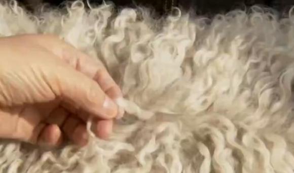 靠山吃山靠水吃水怎么回事,靠山吃山靠水吃水哪里都有