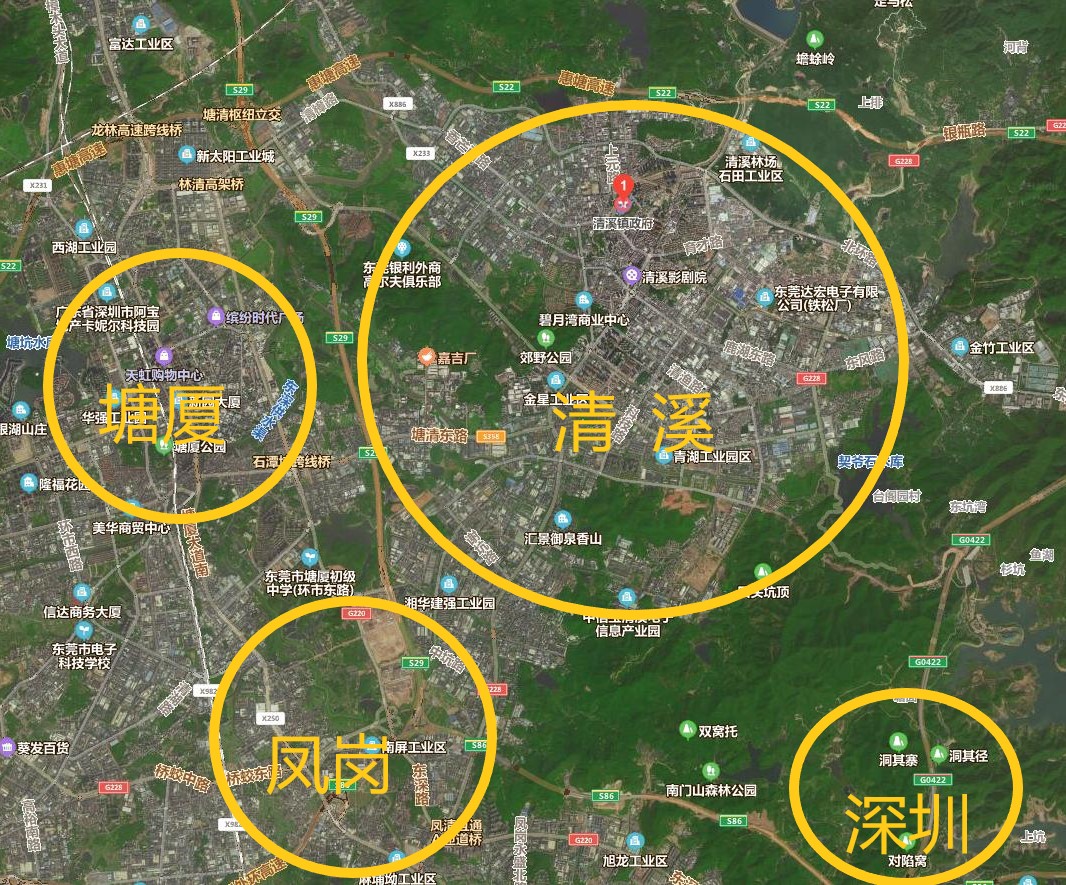 山窝里飞出一只金凤凰背面教学,山窝里飞出一只金凤凰广场舞