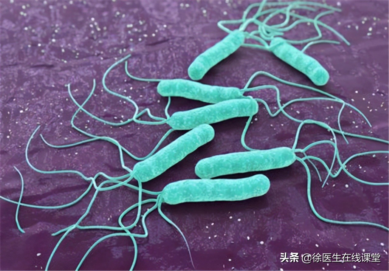 怎么根治幽门螺杆菌引起的胃病,幽门螺杆菌胃病可以治好吗