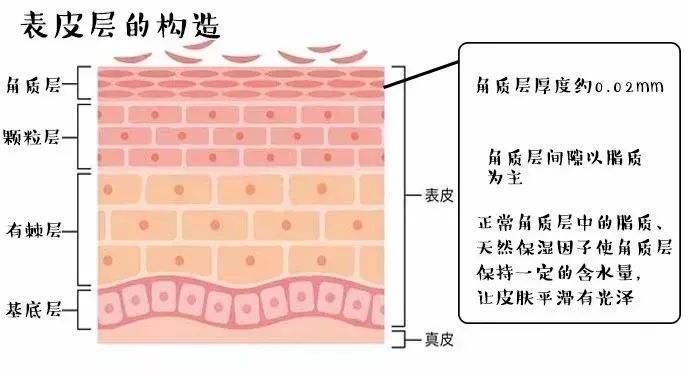白醋洗脸可以美颜,女生用白醋洗脸