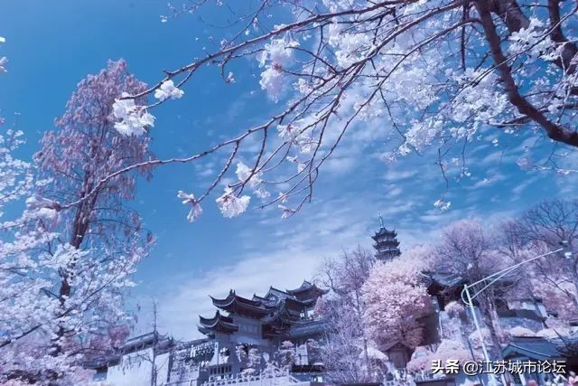 台湾学生拍电影,台湾mycity