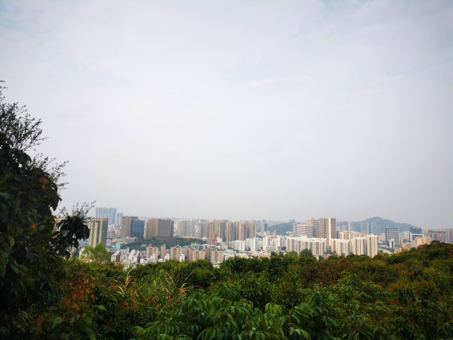 深圳宝安海滨公园游园图,深圳市娱乐场所