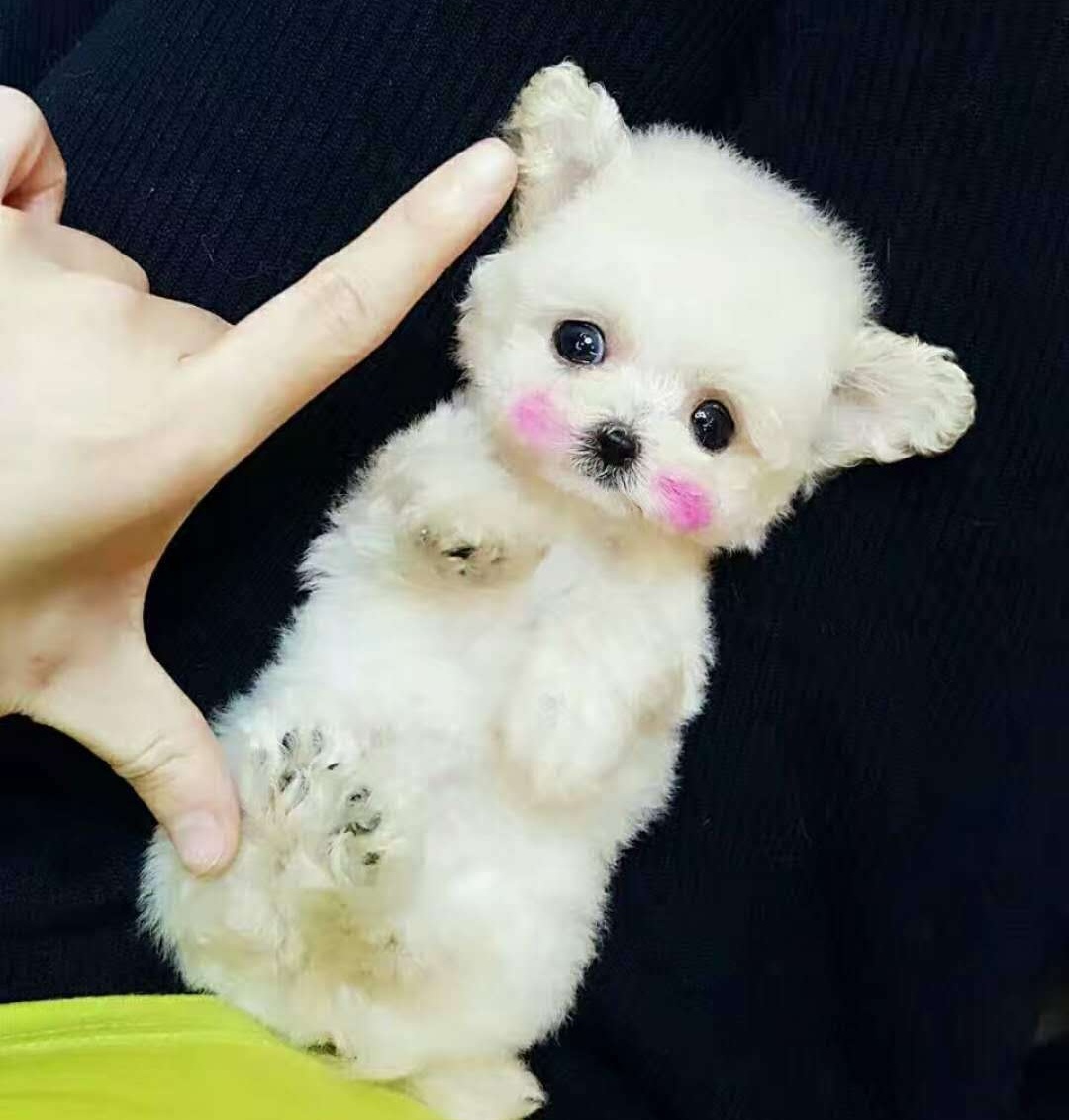 畸形的爱和畸形的恨,畸形的爱真的可怕吗