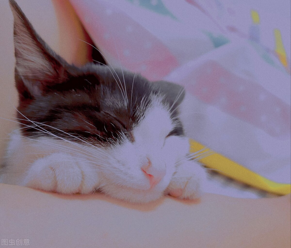 招商加盟餐饮赚钱吗,招商加盟行业赚钱吗