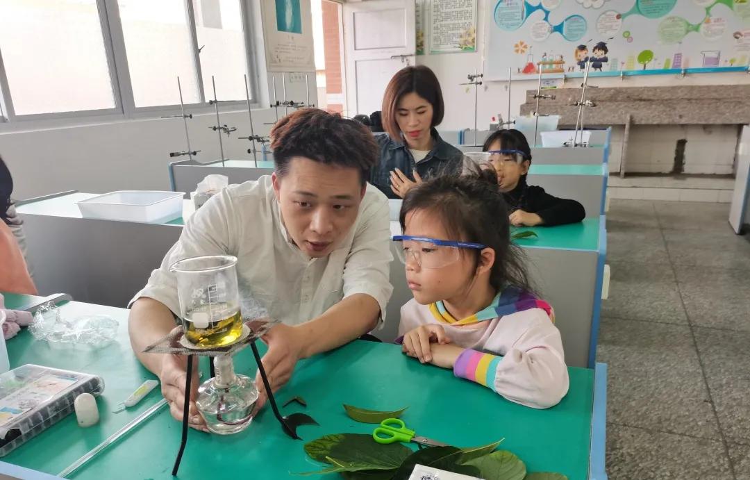 「北社向阳实验室」DIY叶脉书签,探索叶子的秘密,一