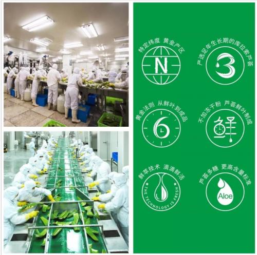 芭芭多芦荟美容有哪些项目,芭芭多芦荟美容产品