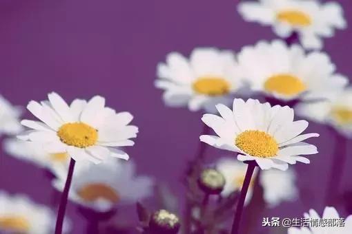 适合写心灵鸡汤的经典句子,男人心灵鸡汤句子精辟