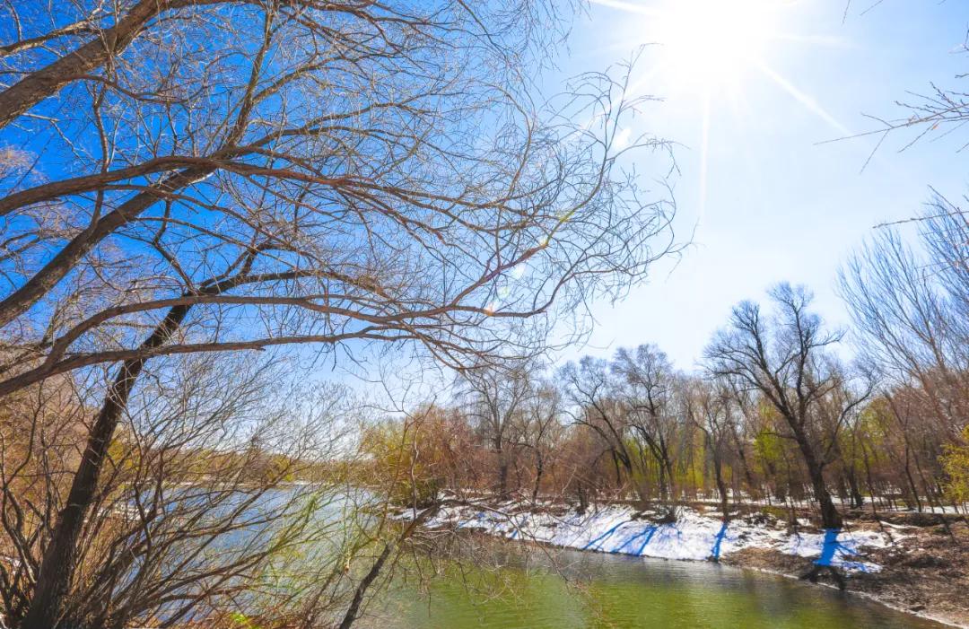 五一坐火车视频讲解,五一坐火车详细攻略
