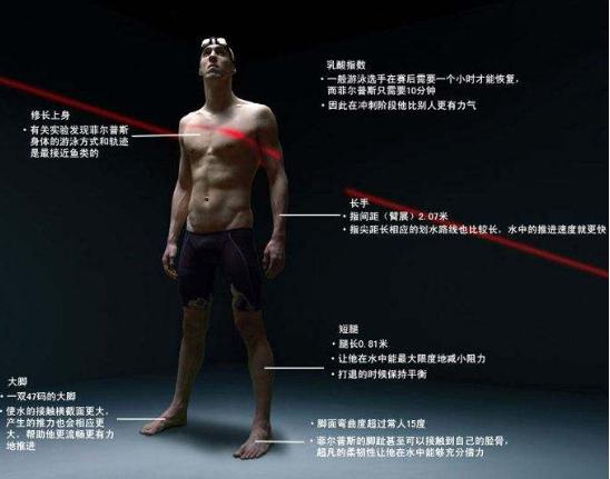 体坛十大变态肌肉,盘点体坛5大神级纪录