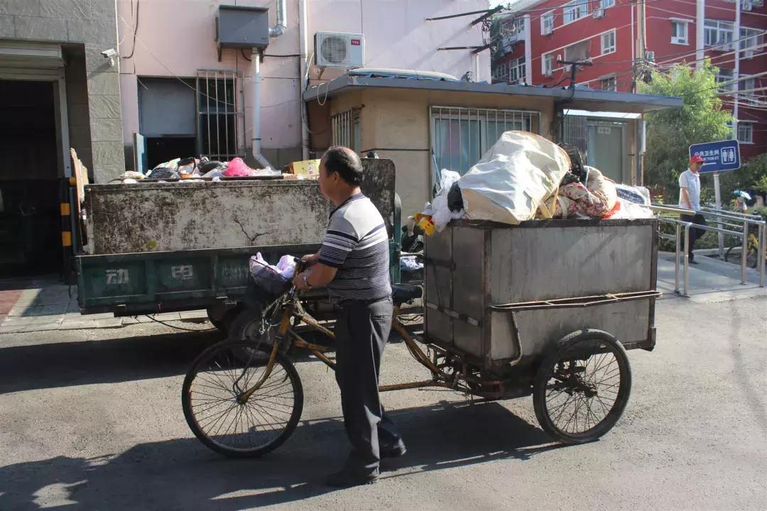 70年，不问冬夏，她们是最美的“城市黄玫瑰”