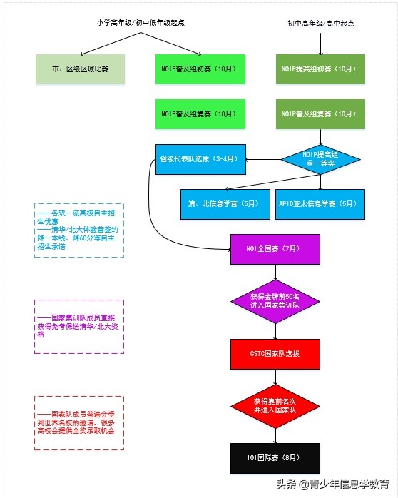 什么是信息学,信息学怎么学