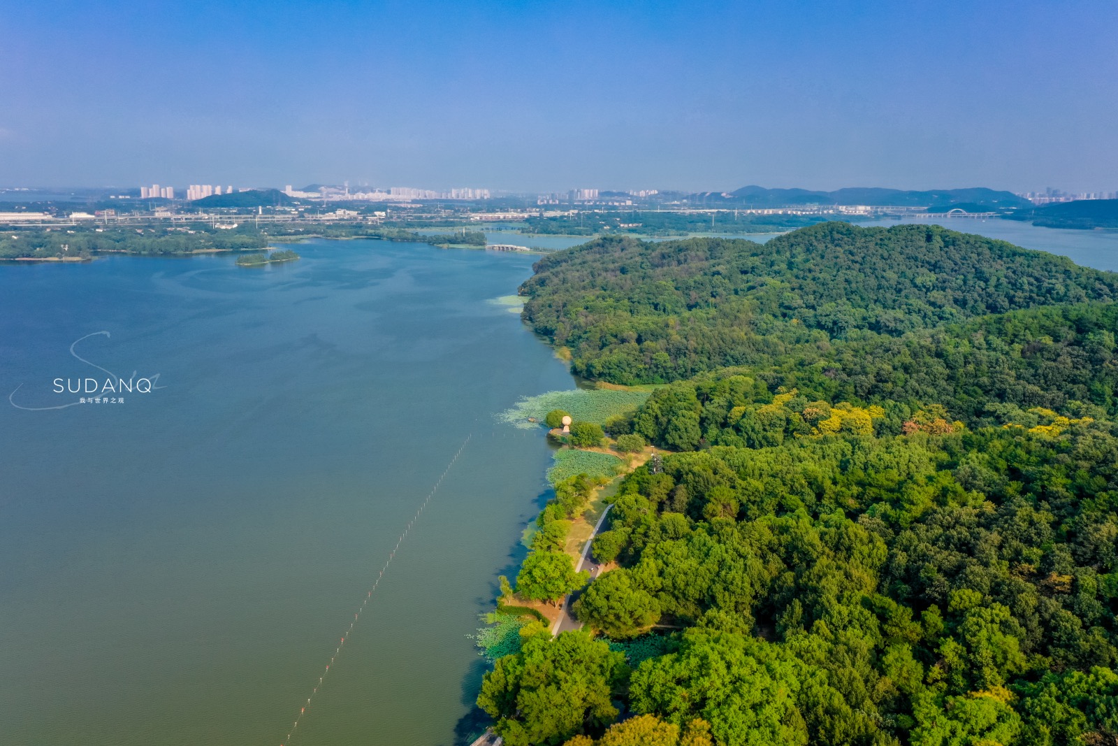 武汉东湖ufo事件,武汉东湖神秘事件