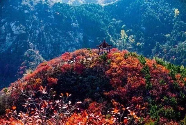 济南旅游景点推荐带孩子玩,济南旅游景点推荐适合带孩子