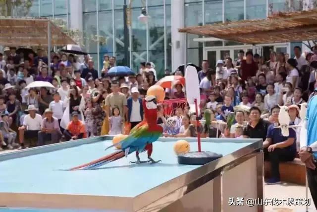 日照花仙子打卡地,日照东夷小镇旅游攻略