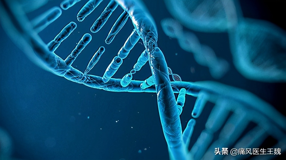 家族有痛风史如何避免痛风,张景明一病一讲痛风如何治疗