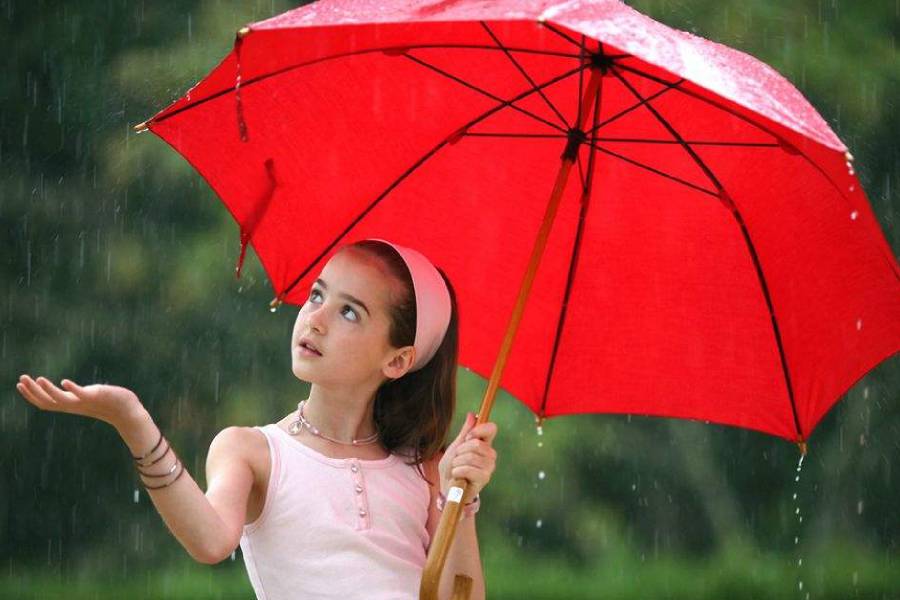 雨伞的清洁与保养常用方法,雨伞脏了有什么小妙招吗