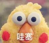 昆山新的国际学校,昆山近五年新建学校有几所