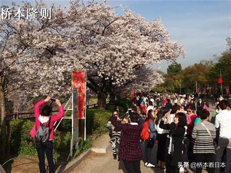 日本旅游团酒店事件,日本旅馆投诉中国游客