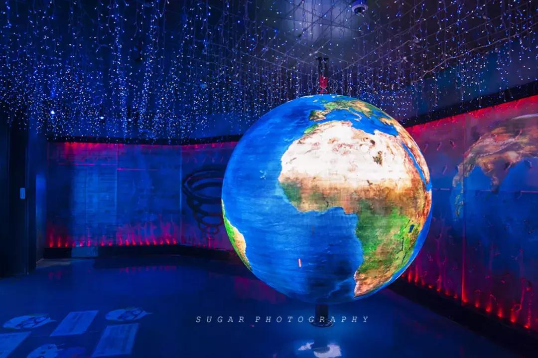 「亲子游」与万千海洋动物一起，夜宿探索极地海洋之美