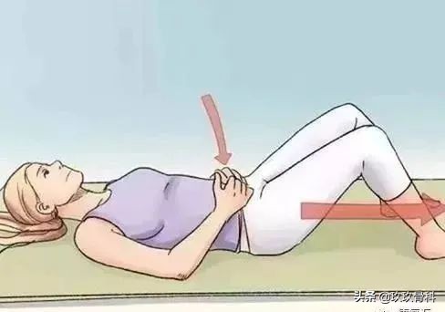 盆底肌有多重要这3点你应该知道,了解脏器功能