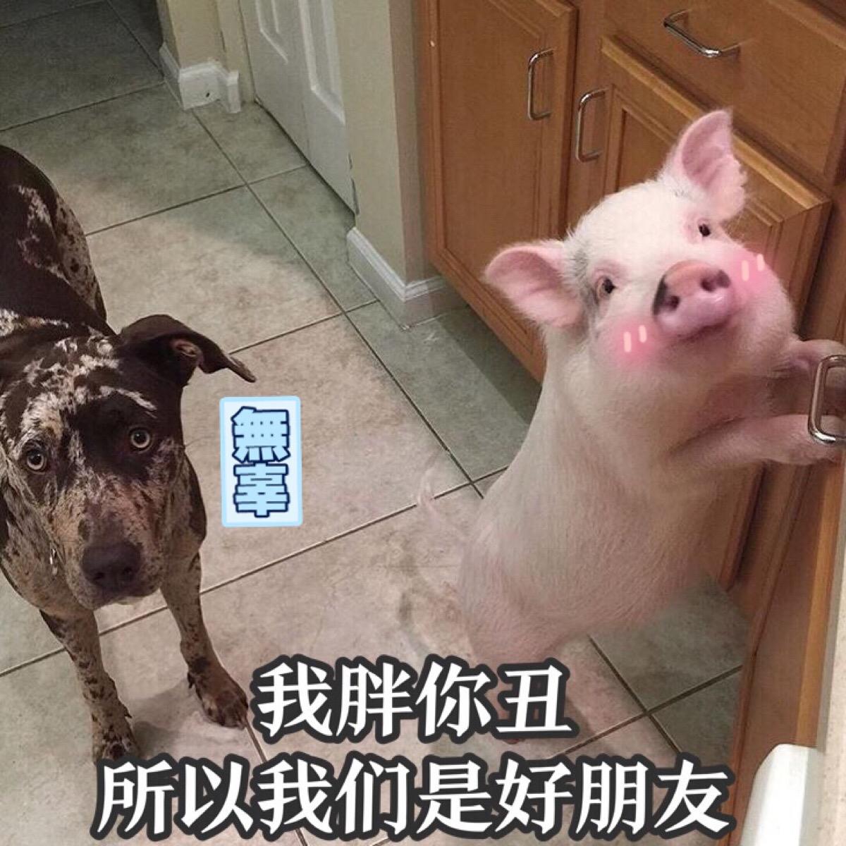 姓氏难取的名字,姓氏起名好难的名字