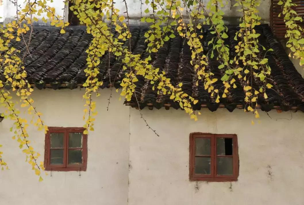 苏州五一不知道去哪里玩,五一不知道去哪就去苏州