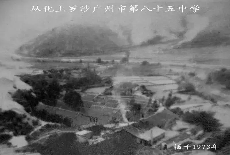 放弃世界顶尖银行工作,他回村当木匠,在废墟上盖出了爆美小院!