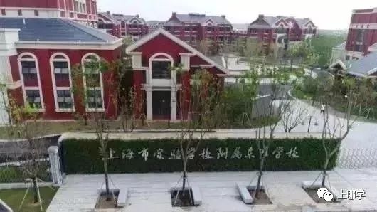 潜力股！上海16区黑马公办小学PK！谁会是下一个明珠、向阳？
