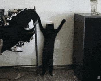 做了它，能让我的皮肤年轻十岁吗？