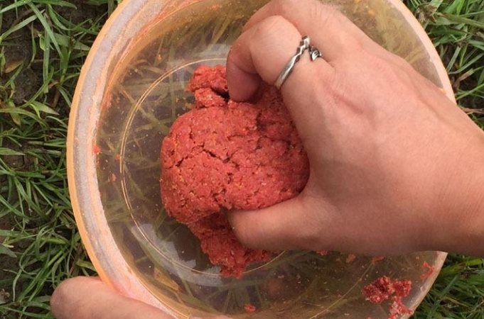 冬季大板鲫活体饵料,冬季大板鲫饵料排行榜第一名