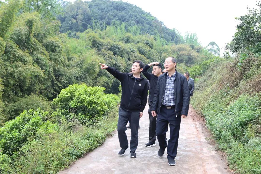 速览时事,井研政讯最新消息