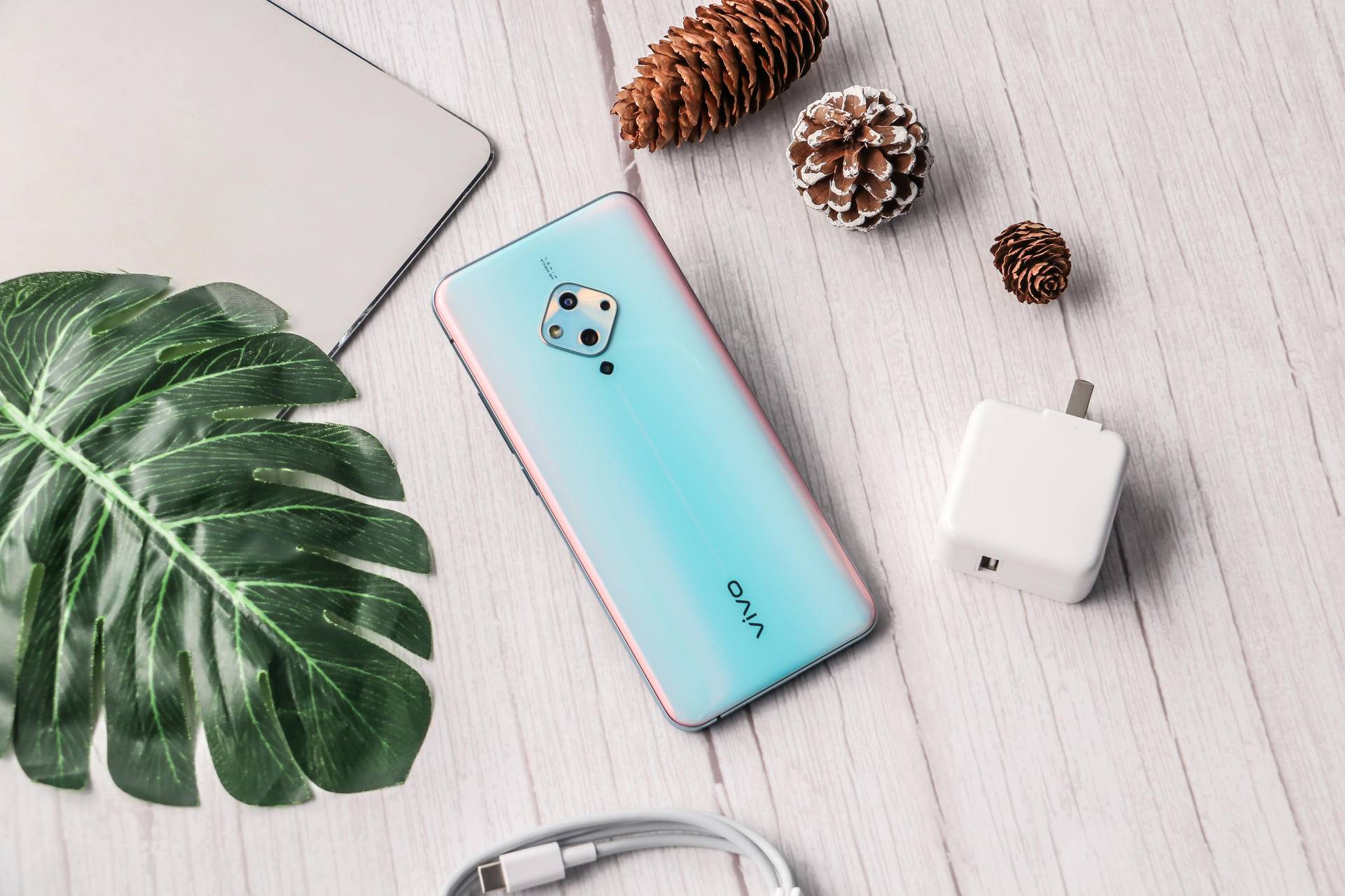 vivos5首销战报,vivos5线下展示