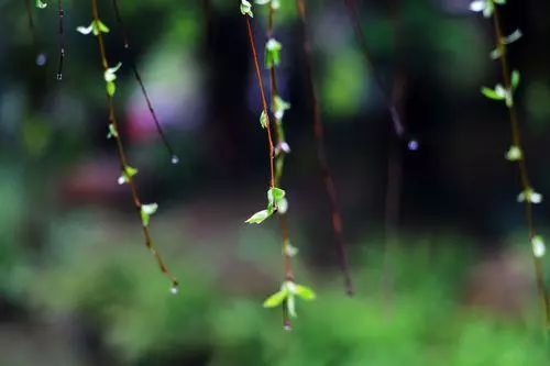 散文题材推荐,散文该写些什么