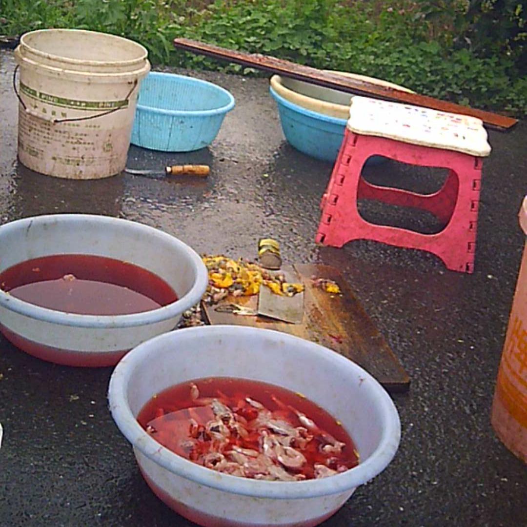 宝宝长痱子吃蛇肉有用吗,小孩长痱子吃蛇有用吗