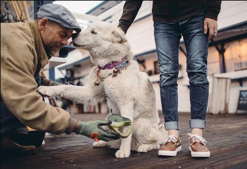 值得入手的牛仔裤夏天,牛仔裤必备100种单品