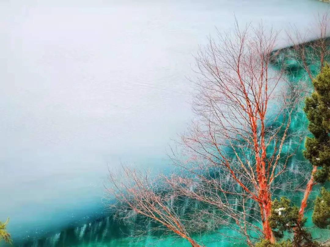 趁春意来赏油菜花海,趁春光去野游