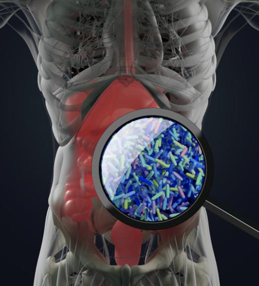 人体内的细菌在多少度以下,人体内最常见的细菌