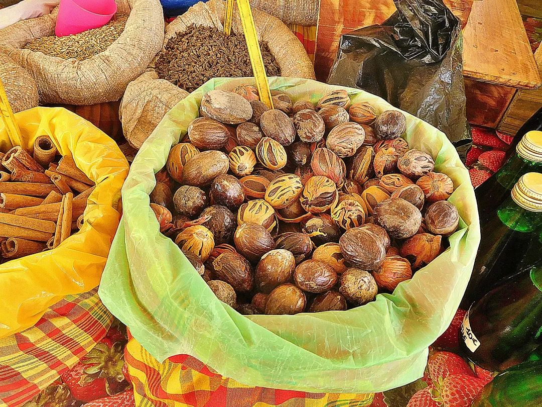 肉豆蔻荷兰西班牙,肉豆蔻历史