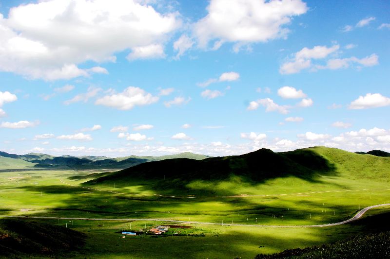 故地重游若尔盖草原美丽依旧,重游若尔盖红原大草原