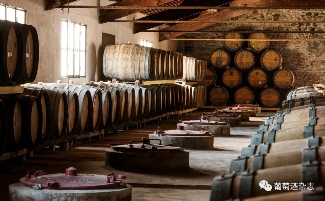 对蜜雪冰城产品的认知,露喜龙产区