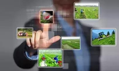 新型农业产业扶持政策,农业种植行业扶持政策