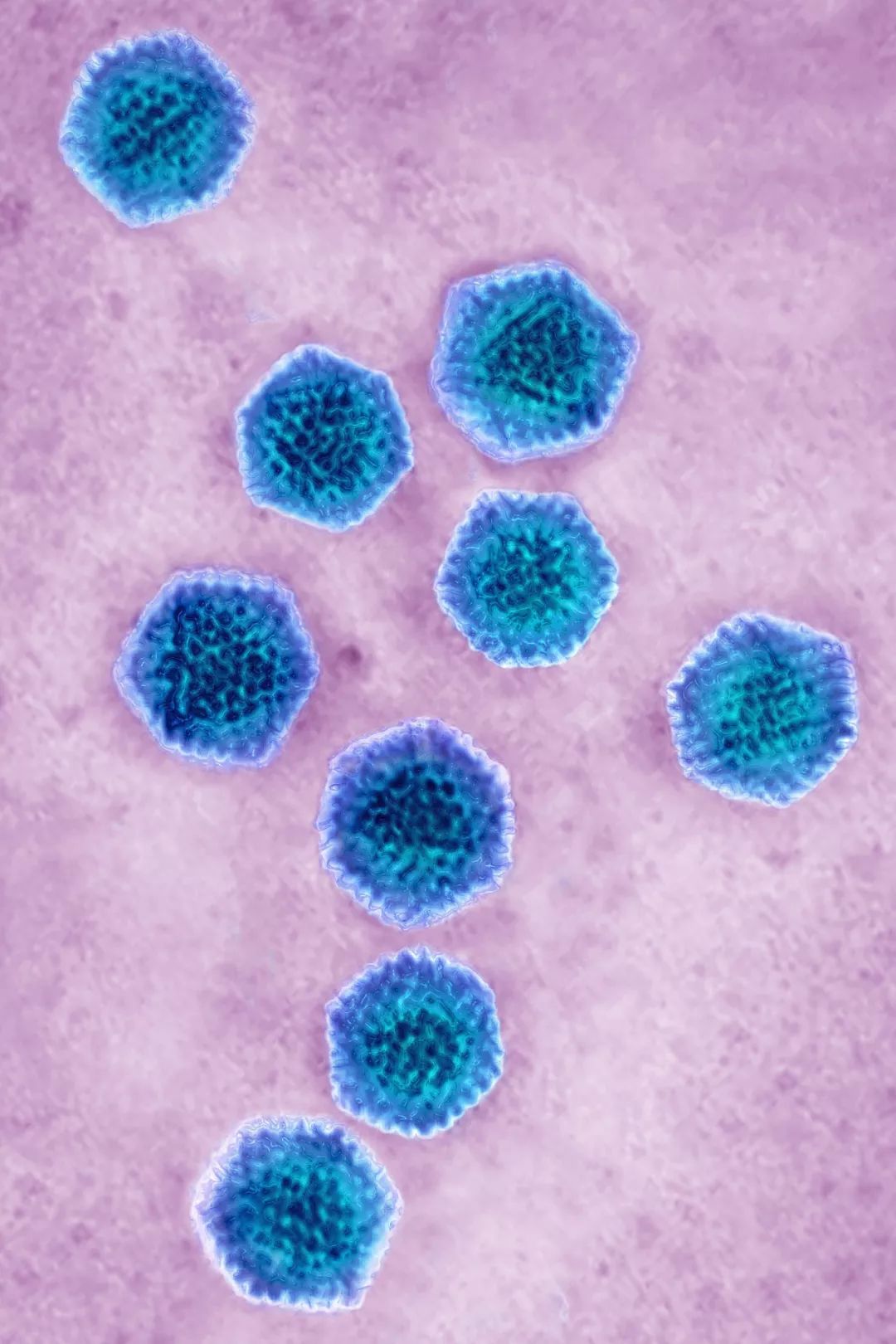 医生和病毒作战,我们如何对付病毒