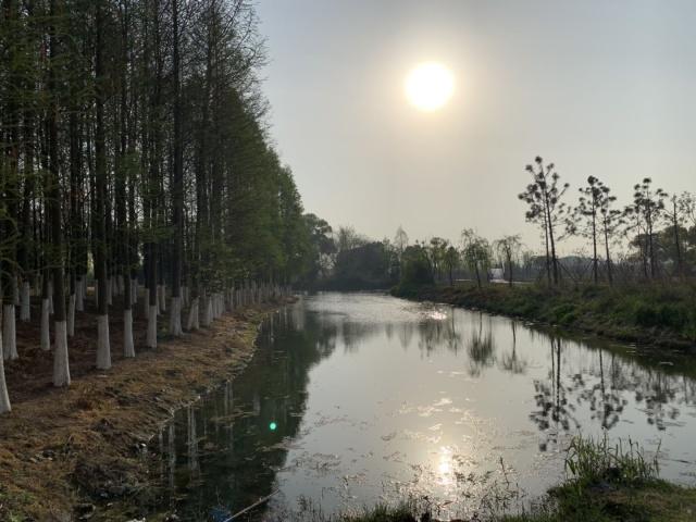 iphonexsmax续航测评,iphonexsmax缺点和优点